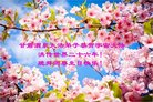 ֹ,󷨵ӹ編ִʦ𻪵(23)