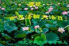 ֹ,ӱ󷨵ӹ編ִʦ𻪵(18)
