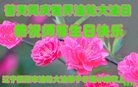 ֹ,󷨵ӹ編ִʦ𻪵(18)