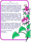 ֹ,󷨵ӹ編ִʦ𻪵(19)