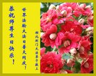 ֹ,󷨵ӹ編ִʦ𻪵(24)