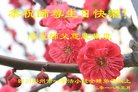 ֹ,ɶ󷨵ӹ編ִʦ𻪵(20)