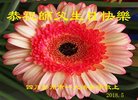 ֹ,ɶ󷨵ӹ編ִʦ𻪵(20)