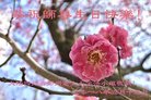 ֹ,ɶ󷨵ӹ編ִʦ𻪵(20)