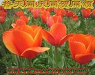 ֹ,Ĵ󷨵ӹ編ִʦ𻪵(19)