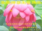 ֹ,ɶ󷨵ӹ編ִʦ𻪵(22)