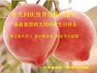 ֹ,ɹŴ󷨵ӹ編ִʦ𻪵(22)