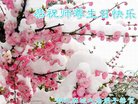 ֹ,󷨵ӹ編ִʦ𻪵(20)