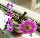 ���ֹ�,�żҿڴ󷨵��ӹ������編�ִ�����ʦ�𻪵�(19��)