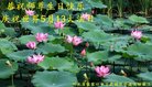 ֹ,żҿڴ󷨵ӹ編ִʦ𻪵(21)