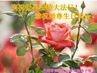 ֹ,󷨵ӹ編ִʦ𻪵(22)