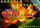 Published on 5/10/2018 ���ֹ�,�󷨴ȱ��ȶȡ�����������ڸж�