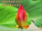 ֹ,󷨵ӹ編ִʦ𻪵(22)