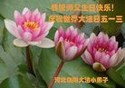 Published on 5/10/2018 ���ֹ�,��С���ӹ������編�ִ�����ʦ�𻪵�(20��)