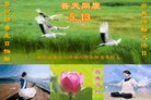ֹ,󷨵ӹ編ִʦ𻪵(22)
