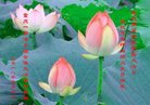 ֹ,󷨵ӹ編ִʦ𻪵(21)