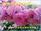ֹ,󷨵ӹ編ִʦ𻪵(23)