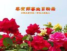ֹ,ʯׯ󷨵ӹ編ִʦ𻪵(19)
