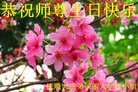 ֹ,󷨵ӹ編ִʦ𻪵(23)