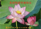 ֹ,󷨵ӹףʦ(21)