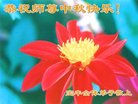 ֹ,ϴ󷨵ӹףʦ(28)