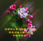 ֹ,󷨵ӹףʦ(23)