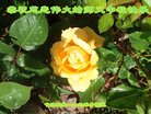 ֹ,󷨵ӹףʦ(23)