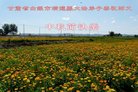ֹ,󷨵ӹףʦ(23)