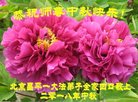 ֹ,󷨵ӹףʦ(20)
