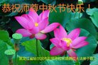 ֹ,󷨵ӹףʦ(20)