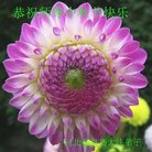 ���ֹ�,�ػʵ��󷨵��ӹ�ףʦ�������(21��)