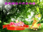 ֹ,Ĵ󷨵ӹףʦ(21)