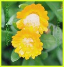 ���ֹ�,����ʡ�󷨵��ӹ�ףʦ�������(26��)