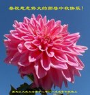 ֹ,󷨵ӹףʦ(19)