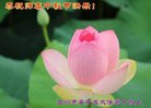ֹ,󷨵ӹףʦ(19)