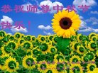 ֹ,󷨵ӹףʦ(19)