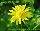 ֹ,󷨵ӹףʦ(19)