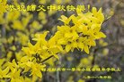 ֹ,ɶ󷨵ӹףʦ(19)