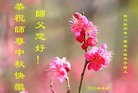 ֹ,ɶ󷨵ӹףʦ(18)