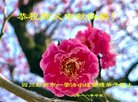 ֹ,ɶ󷨵ӹףʦ(18)