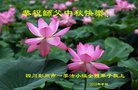 ֹ,ɶ󷨵ӹףʦ(18)