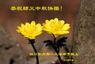 ֹ,ɶ󷨵ӹףʦ(18)