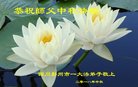 ֹ,ɶ󷨵ӹףʦ(18)