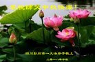 ֹ,ɶ󷨵ӹףʦ(24)