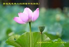 ֹ,ɶ󷨵ӹףʦ(24)