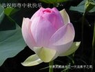 ֹ,󷨵ӹףʦ(23)