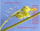 ���ֹ�,�̽��󷨵��ӹ�ףʦ�������(24��)