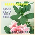 ���ֹ�,�ȷ��󷨵��ӹ�ףʦ�������(19��)