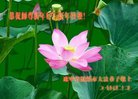 ���ֹ�,�̽��󷨵��ӹ�ףʦ�������(19��)