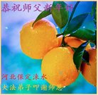 ���ֹ�,�����󷨵��ӹ�ףʦ�������(22��)